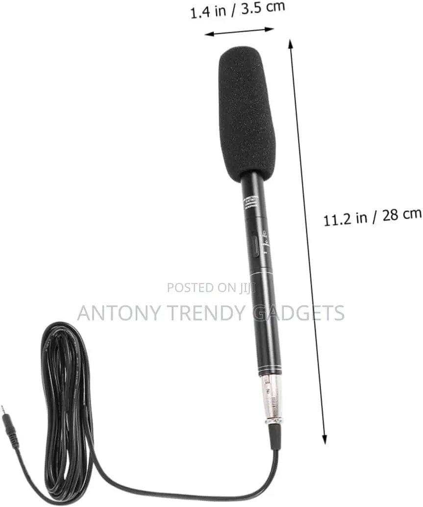 Panasonic Shotgun Microphone – Clear Voice Pickup Mic