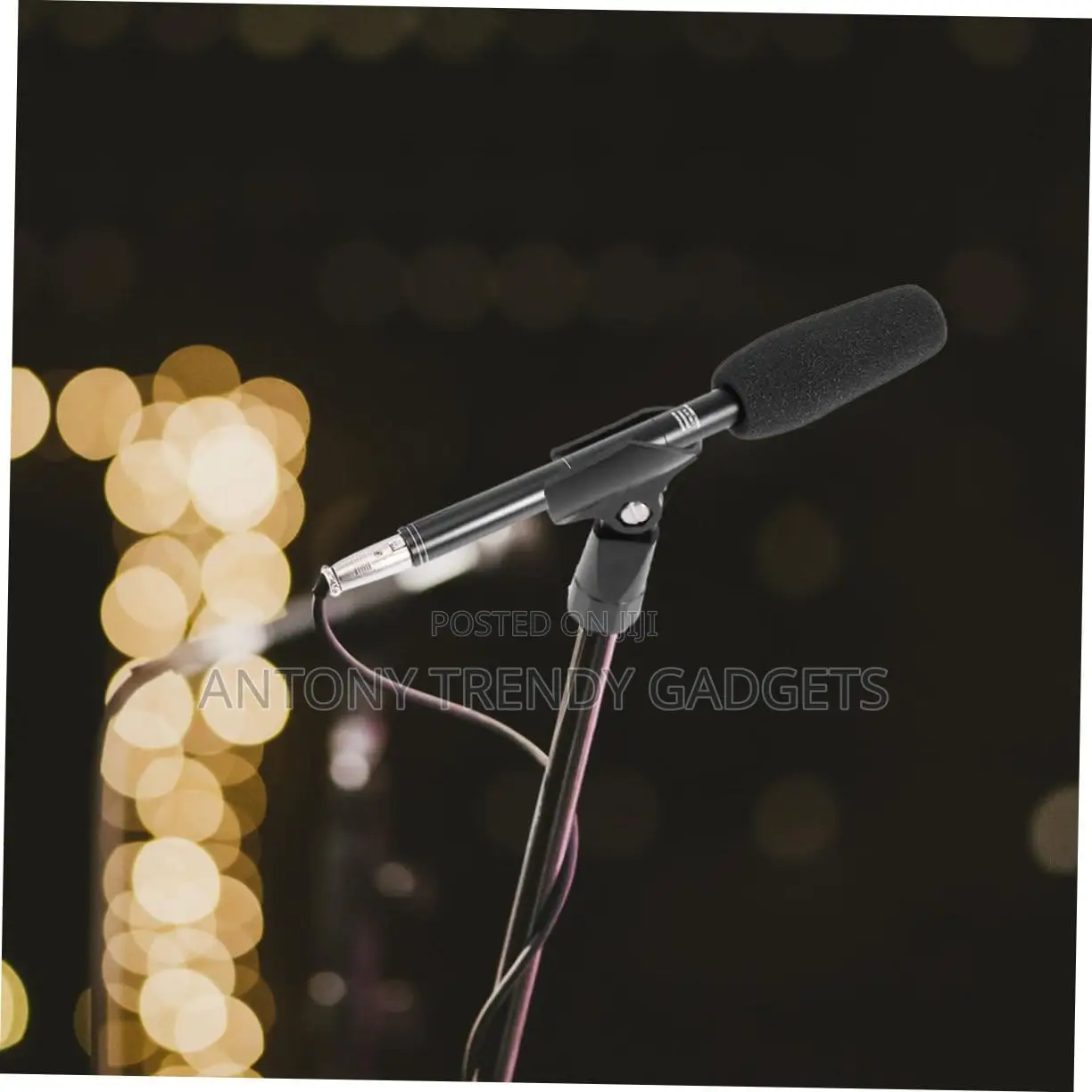 Panasonic Super Mic– Directional Mic for Studio Field Use