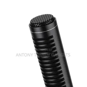 Panasonic Super Mic– Directional Mic for Studio Field Use