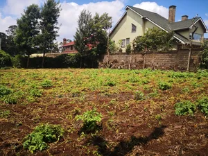 Quarter Acre Plot for Sale in Sigona Kikuyu Kiambu County.