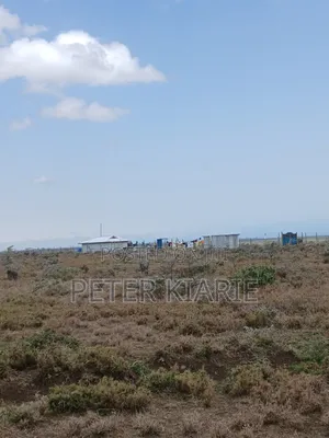 Nanyuki Prime Plots