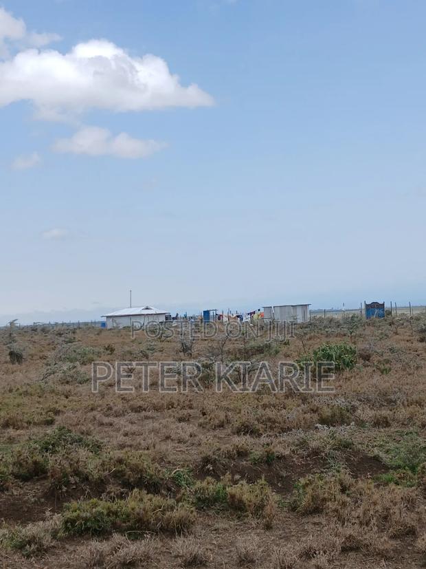 Nanyuki Prime Plots - main view