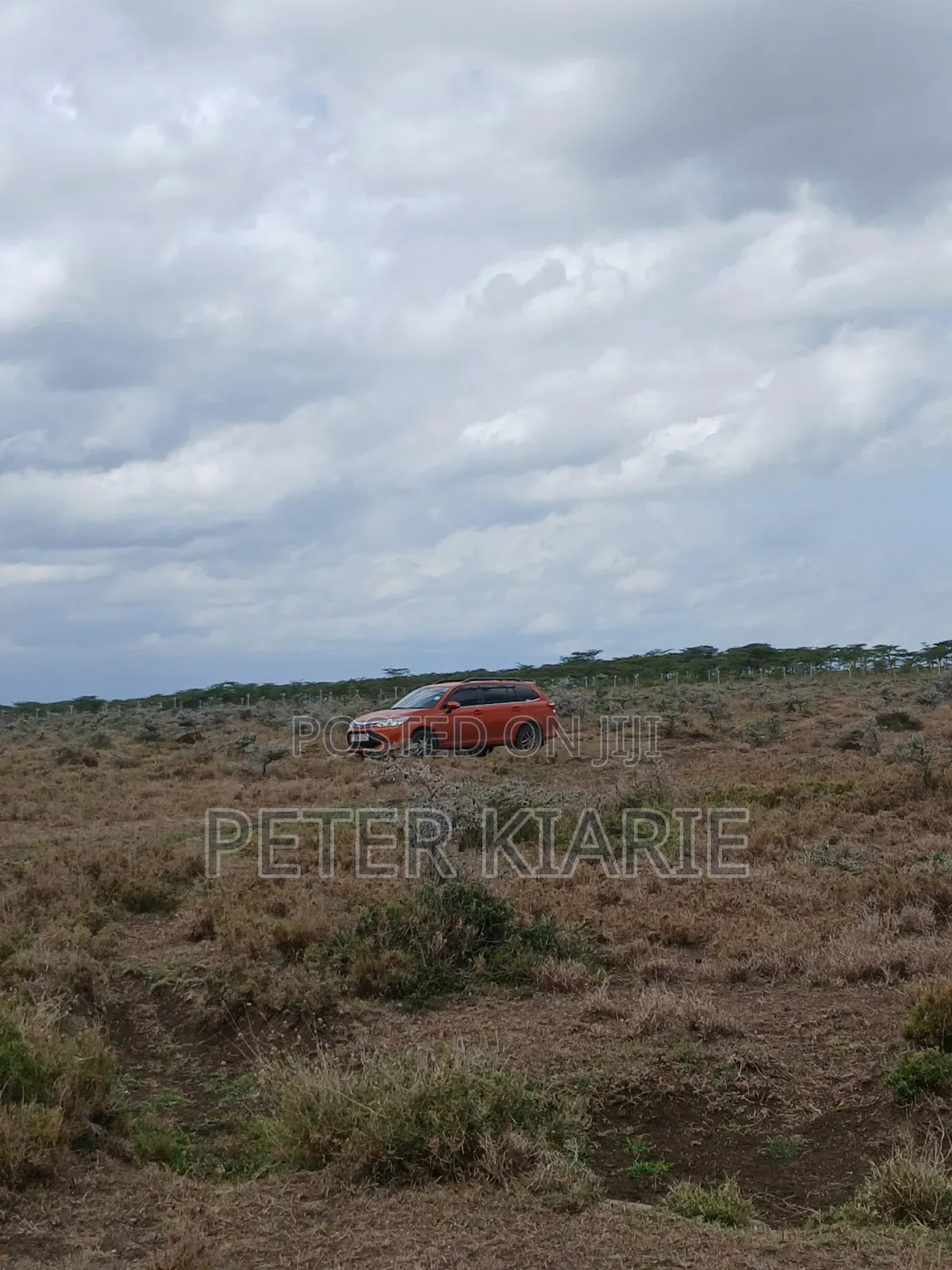 Nanyuki Prime Plots