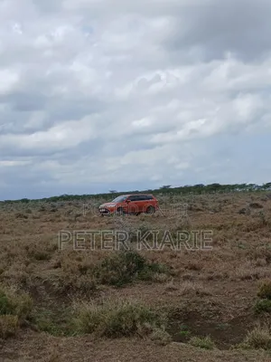 Nanyuki Prime Plots