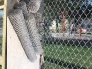 Galvanized Chain Link 14g 80x80 6ft