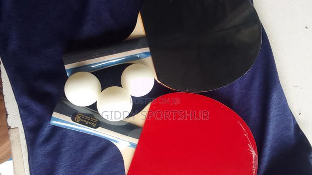 Outdoor/Indoor Table Tennis Bats - main view