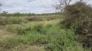 Chumvi: 10 Acres For Sale