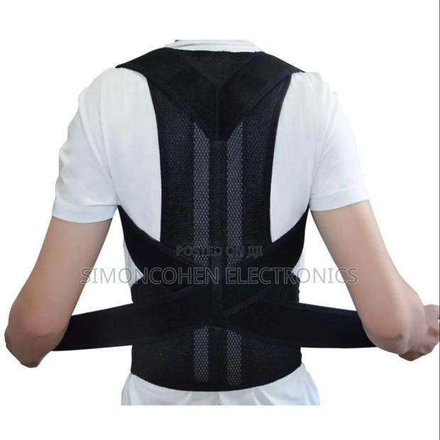Back Support Waist Belt