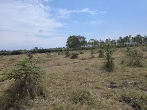 Plots for Sale in Tuala Next to Rockfields
