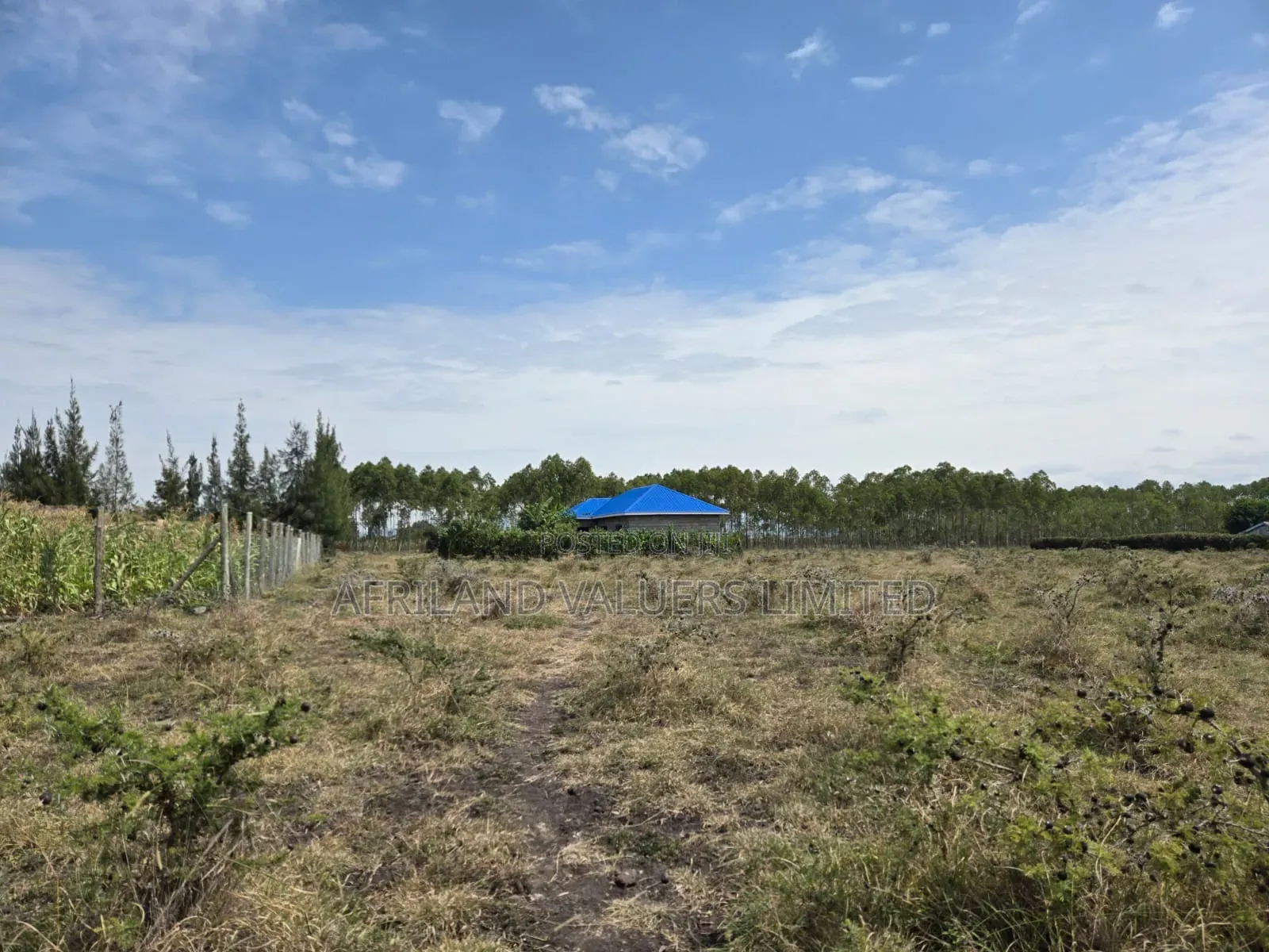 Plots for Sale in Tuala Next to Rockfields