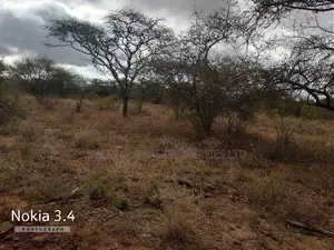 460 Acres Agricultural Land In Kajiado Is Available For Sale