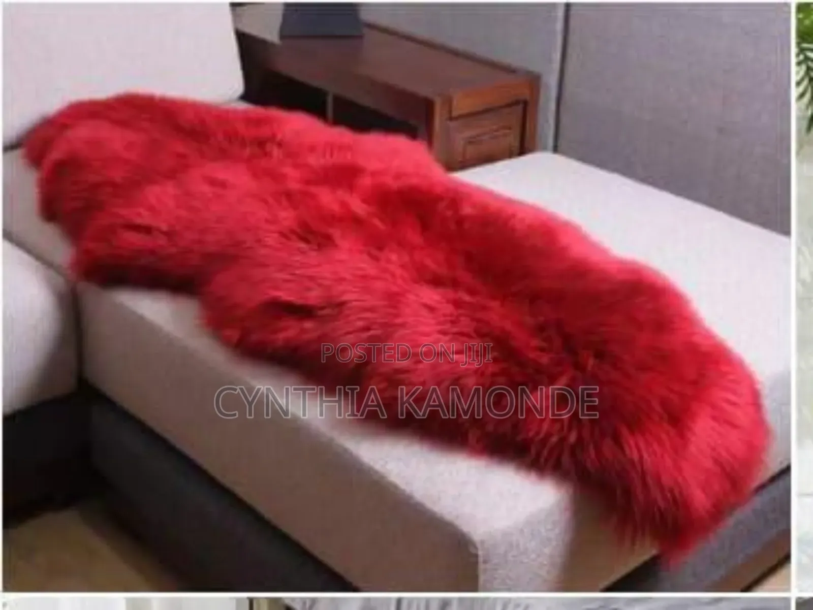 Decorative Throw Rugs