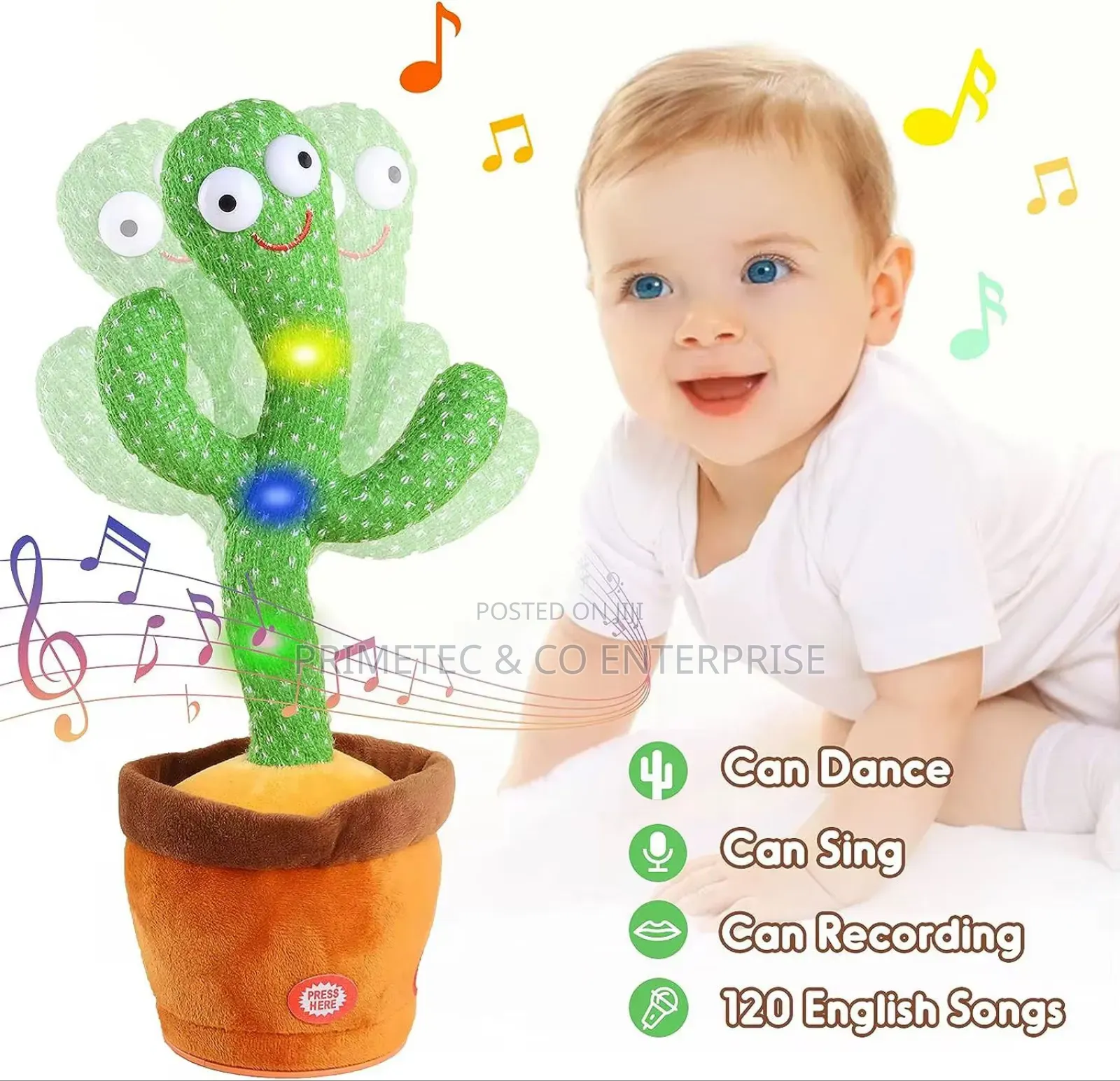 Dancing Cactus Toy. Packaged In A Box