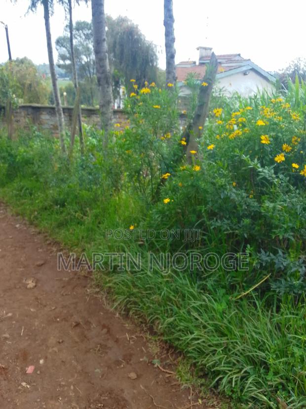 50 by 100 Tiekunu, Limuru - main view