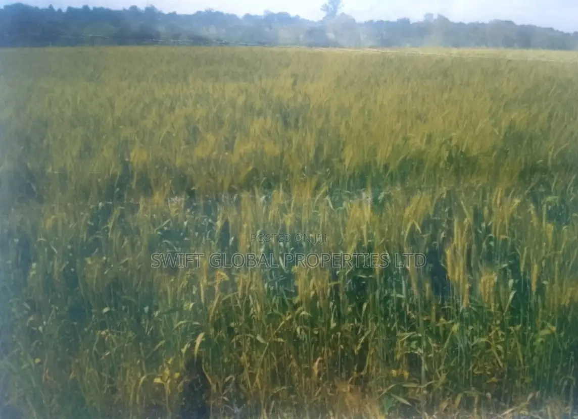 1000 Acres With Permanent Water Are Available Lease in Narok