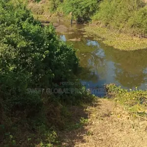 5000 Agricultural Land With Water Is for Sale in Kajiado