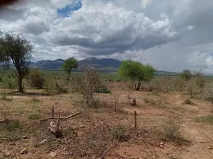 700 Acres in Namanga Kajiado Is Available for Sale
