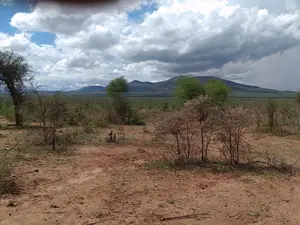 700 Acres in Namanga Kajiado Is Available for Sale