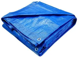 Tarpaulin Canvas_* *Green-4x6m; Cream White(Heavy