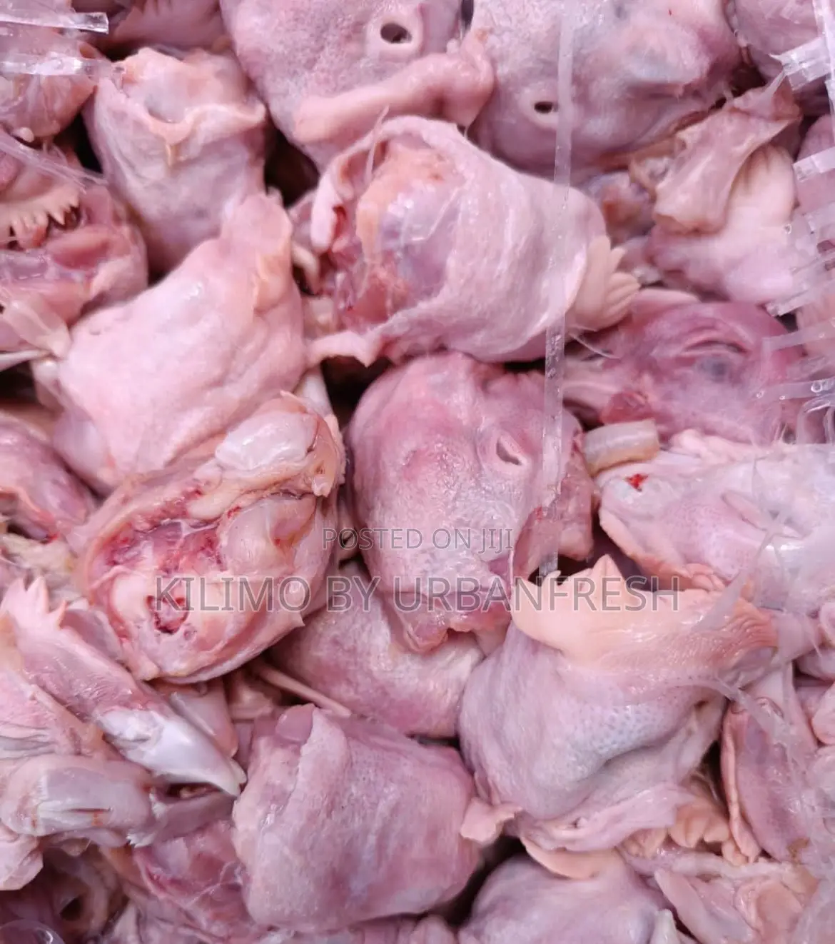 Fresh Chicken Head for Pets Food. 10kgs High Protein Affordable.