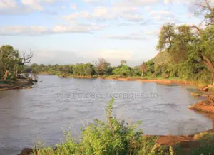 2000 Acres of Irrigated Land in Narok Is Available for Lease