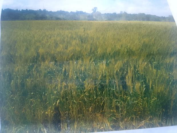 2000 Acres of Irrigated Land in Narok Is Available for Lease - thumbnail 2