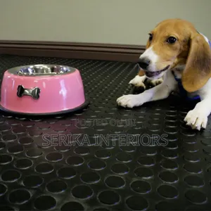 Pet Friendly Rubber Mats Environmental Friendly Coin Mats