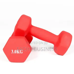 3 Kg Dumbell ( Vinyl)