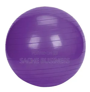 Anti Burst Yoga Ball ( Purple)