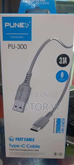 Punex Pu‐300 Type‐C Cable – Heavy-Duty Fast Charging Sync - main view