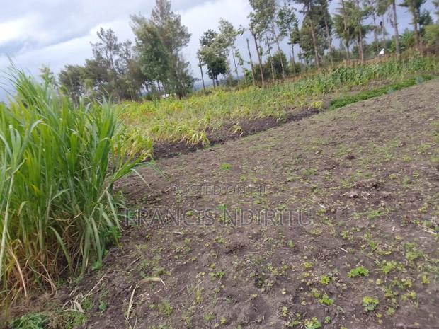 Gatune Land on Sale - thumbnail 3