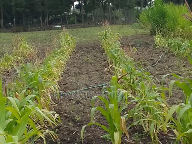 Gatune Land on Sale - thumbnail 4