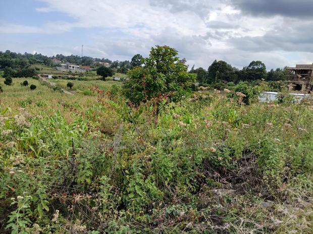 Prime Quarter Acre (100by100) for Sale in Olkeri, Forestline - thumbnail 4