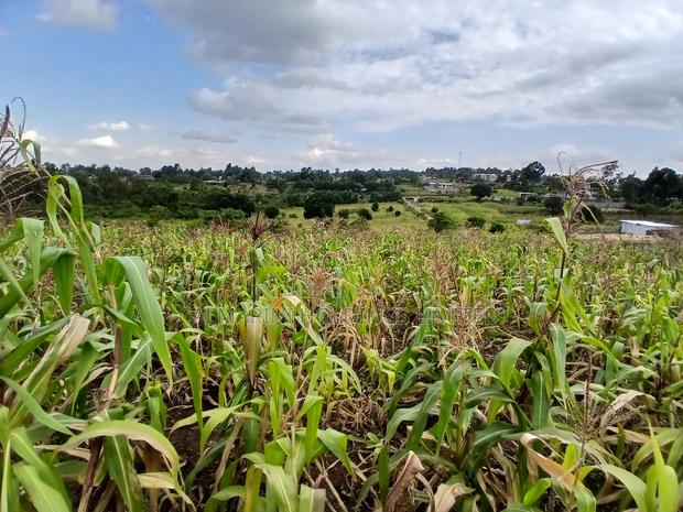 Prime Quarter Acre (100by100) for Sale in Olkeri, Forestline - thumbnail 5