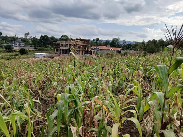 Prime Quarter Acre (100by100) for Sale in Olkeri, Forestline - main view