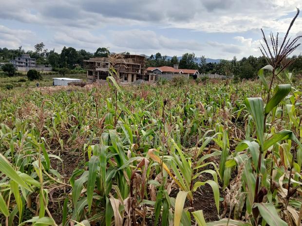 Prime Quarter Acre (100by100) for Sale in Olkeri, Forestline - thumbnail 6