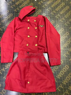 Air Hostess CBC Outfit/ Costume
