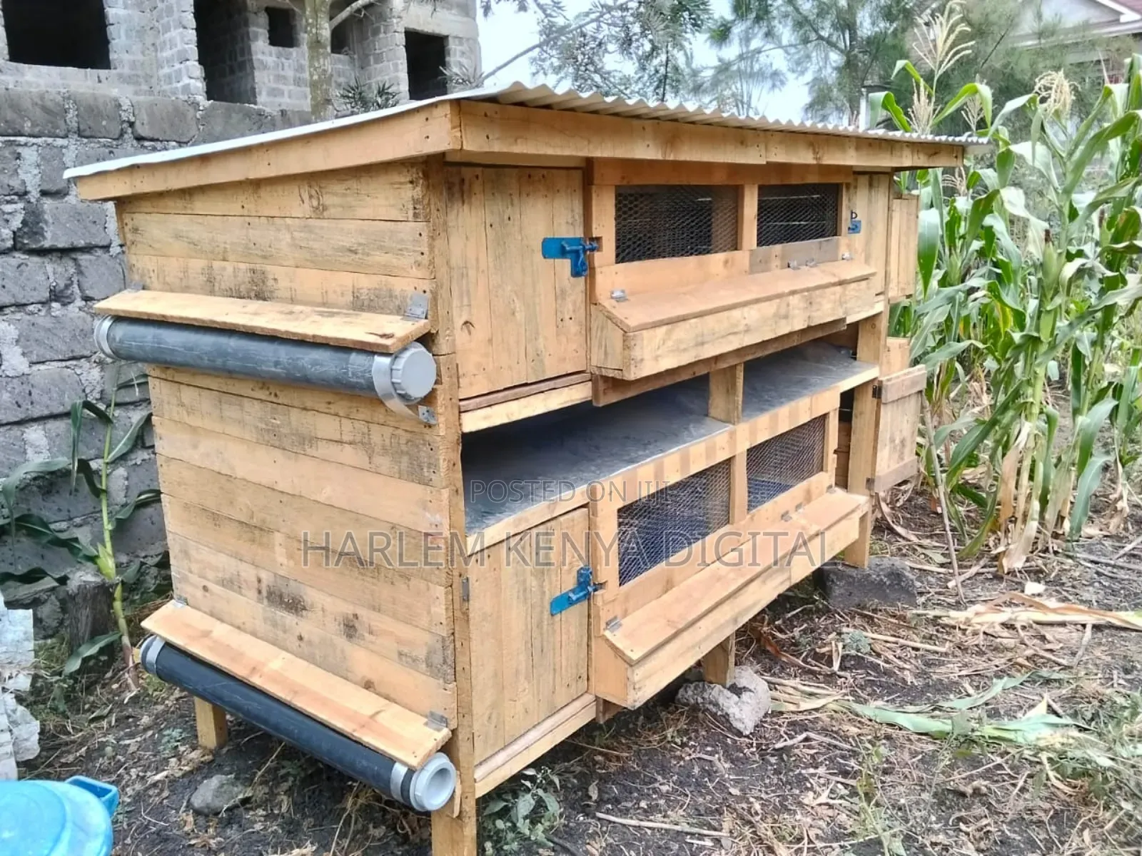 Grab Your Offer Chicken Coop,Dog Kennels, Rabbit Hutch