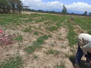 4 Acre Plot 4 Sale - thumbnail 2