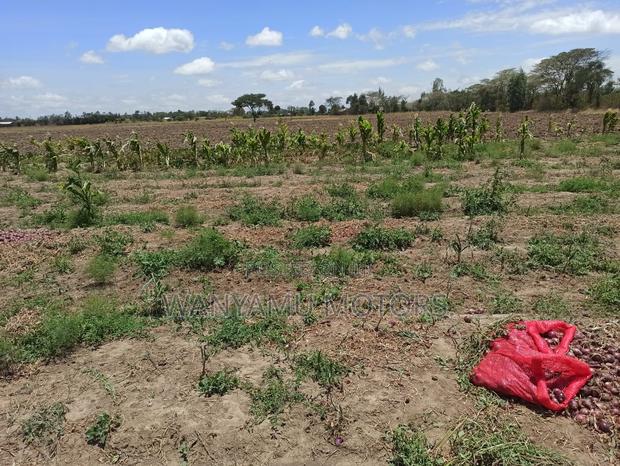 4 Acre Plot 4 Sale - thumbnail 3