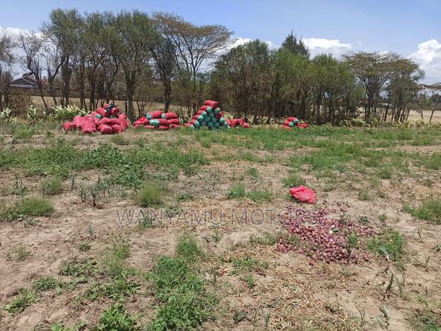 4 Acre Plot 4 Sale - thumbnail 4