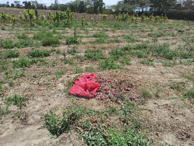 4 Acre Plot 4 Sale - thumbnail 5