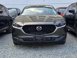 Mazda CX-30 Premium i-Activ 2020 Gray