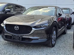 Mazda CX-30 Premium i-Activ 2020 Gray