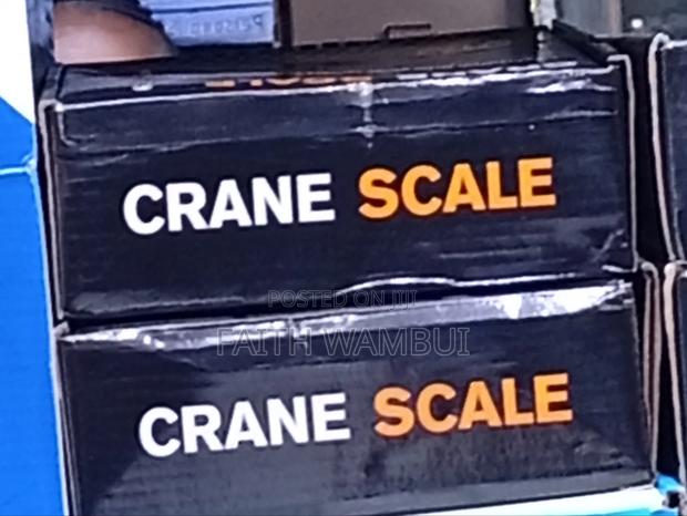 300kg Digital Weighing Scale/Weighing Crane Scale 300kg