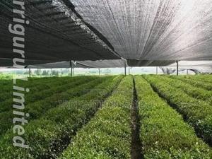 Sunblock Net - thumbnail 2