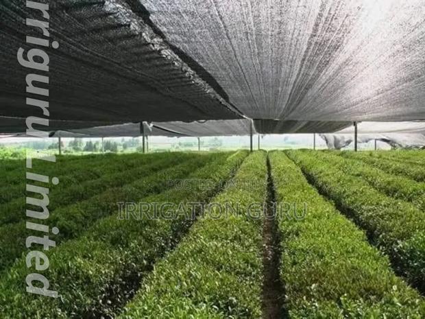 Sunblock Net - main view