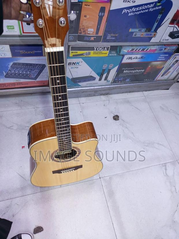 F3000 Model 41inch Size Semi-Acoustic - main view