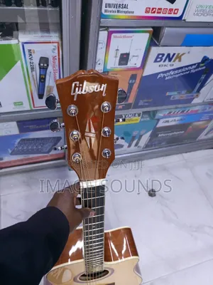 F3000 Model 41inch Size Semi-Acoustic