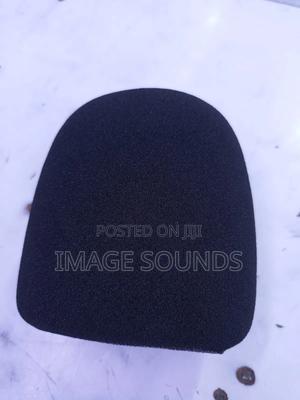 Studio Mic Sponge - main view